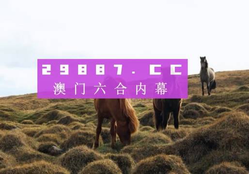 第226页