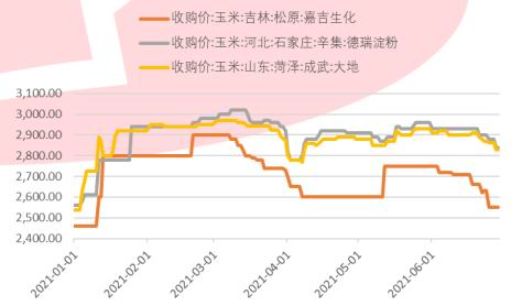 美圆疫情最新动态与影响分析概览