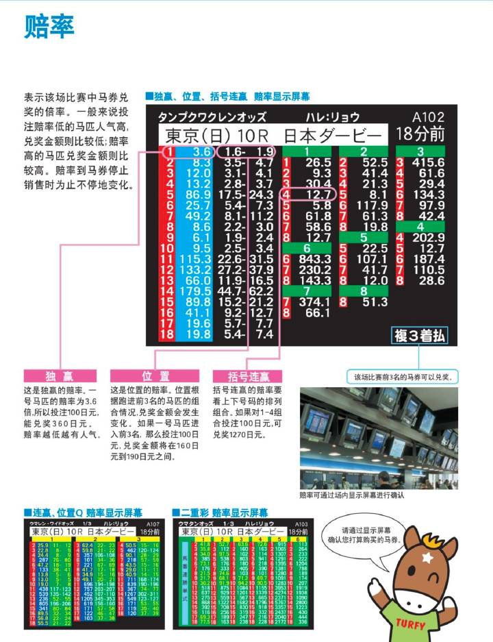 马会传真,综合数据解释说明_道宫NTP82.62