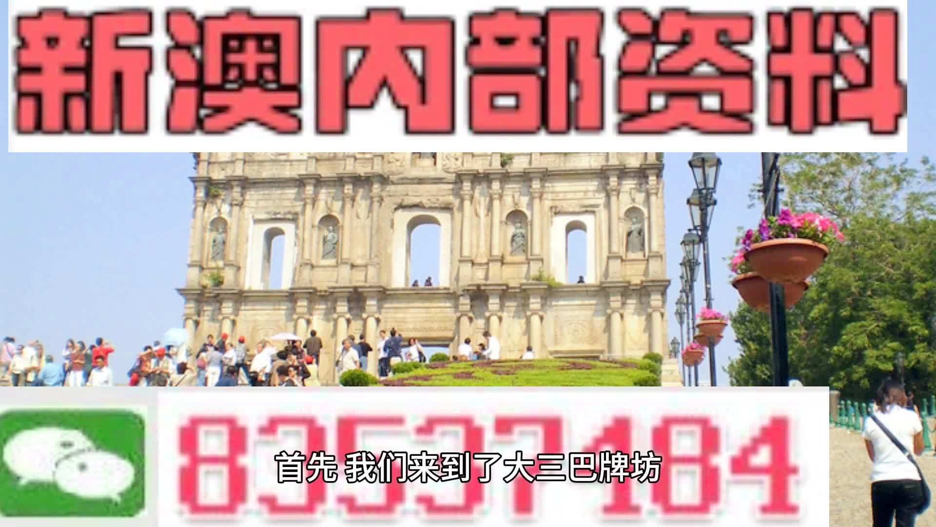 2024新澳资料免费大全,动态词语解释落实_高级版57.835